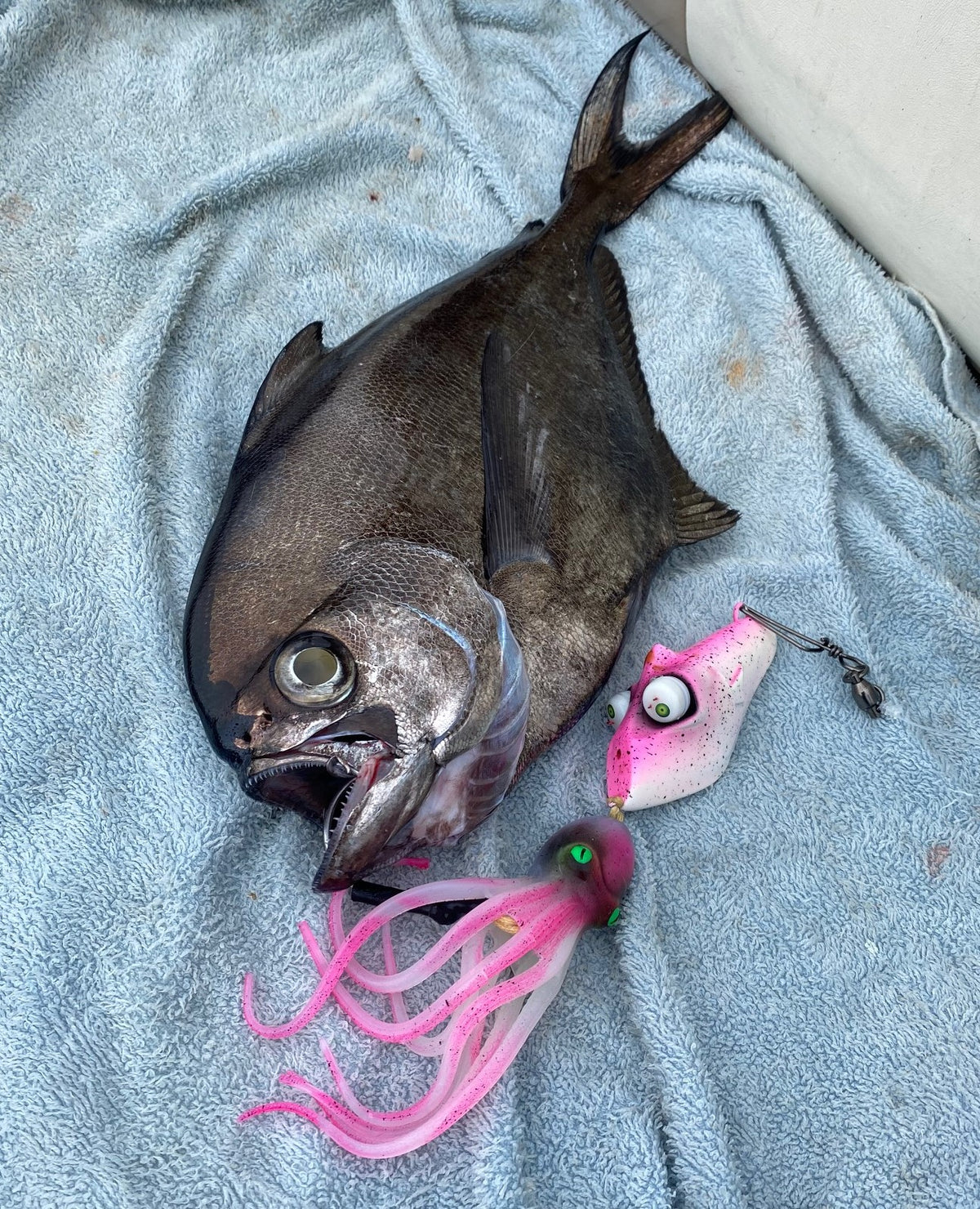 Deep Drop Lure Glowbite Crazy Eyes - Pink